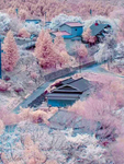 雪地
