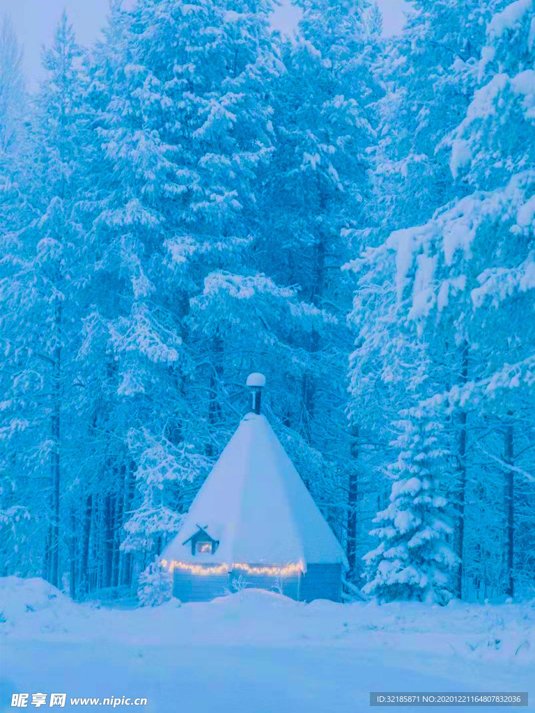 雪地