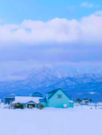 雪地   图片