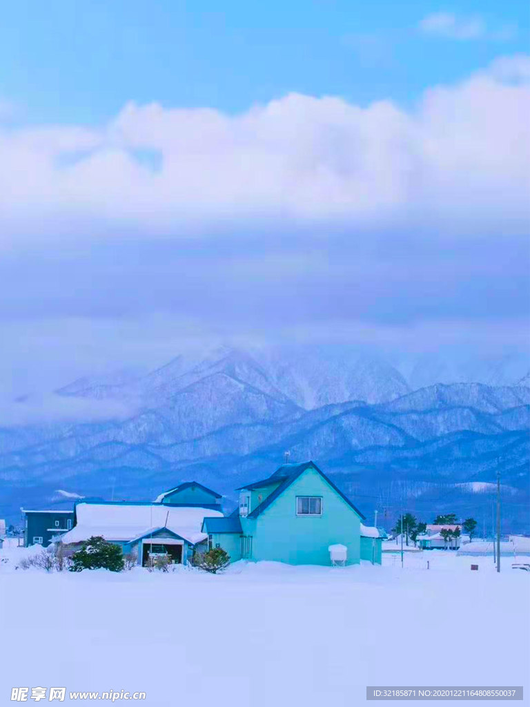 雪地   图片