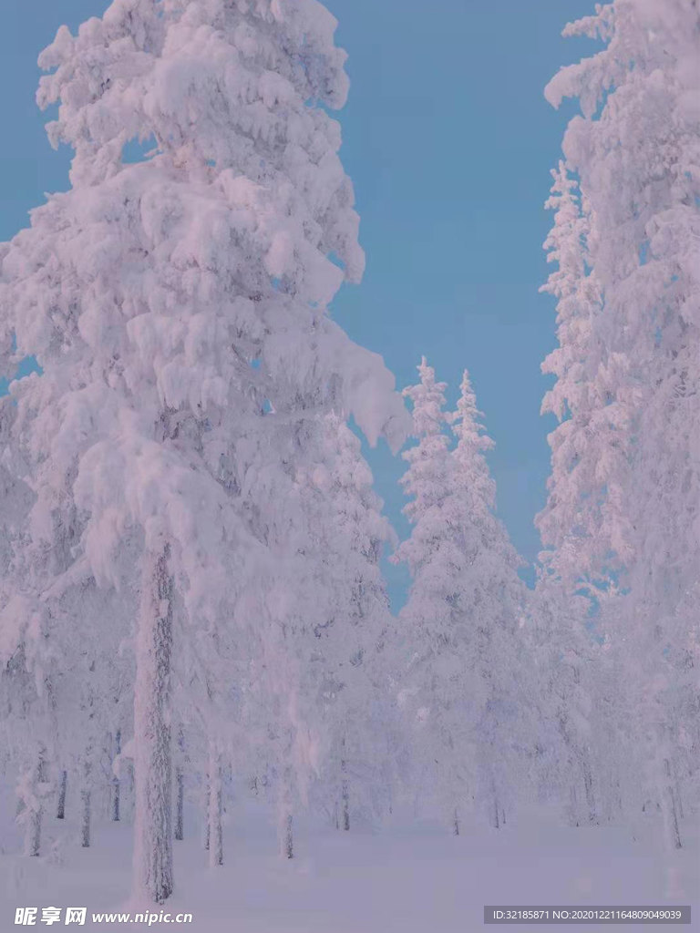 雪地