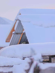 雪地
