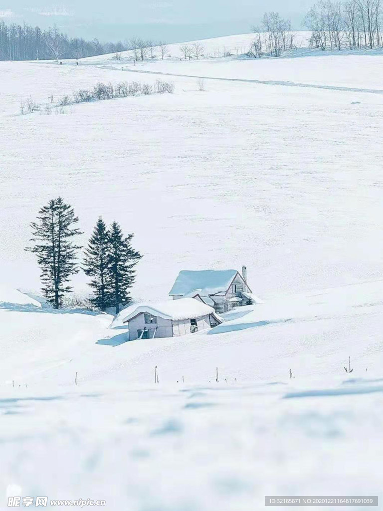 雪地