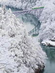 雪地
