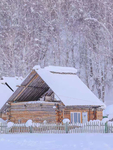 雪地