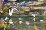 园林水景