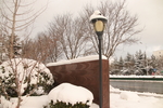 雪天路灯