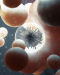 C4D 模型 细胞细菌生物病毒
