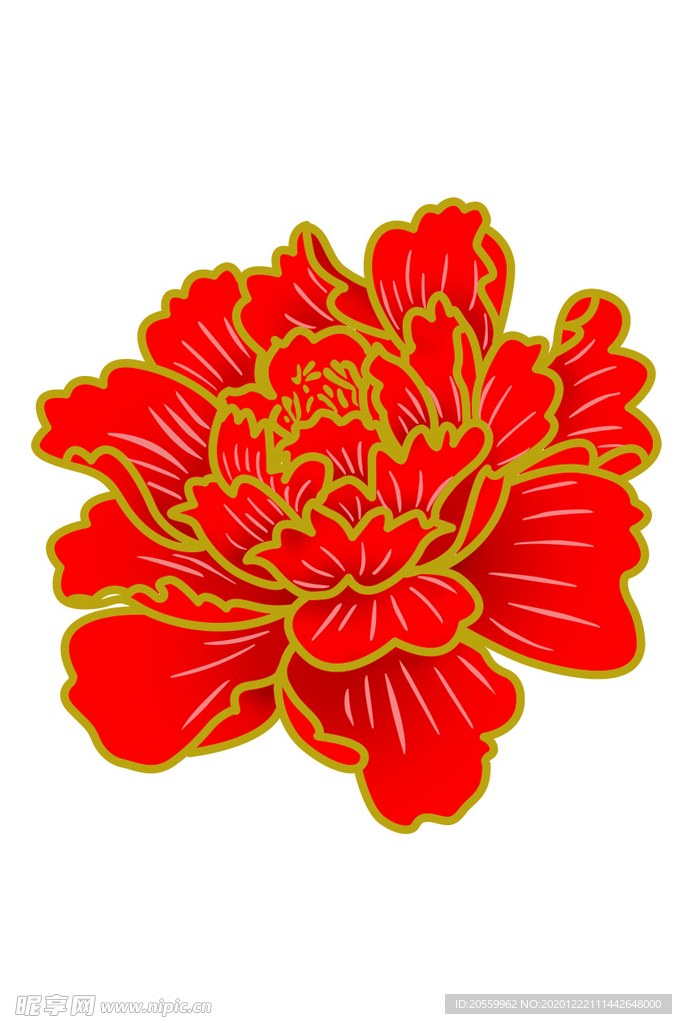 牡丹 牡丹花