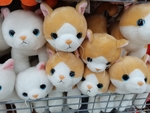 猫咪娃娃