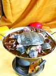 鲁菜山东菜