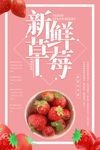新鲜草莓
