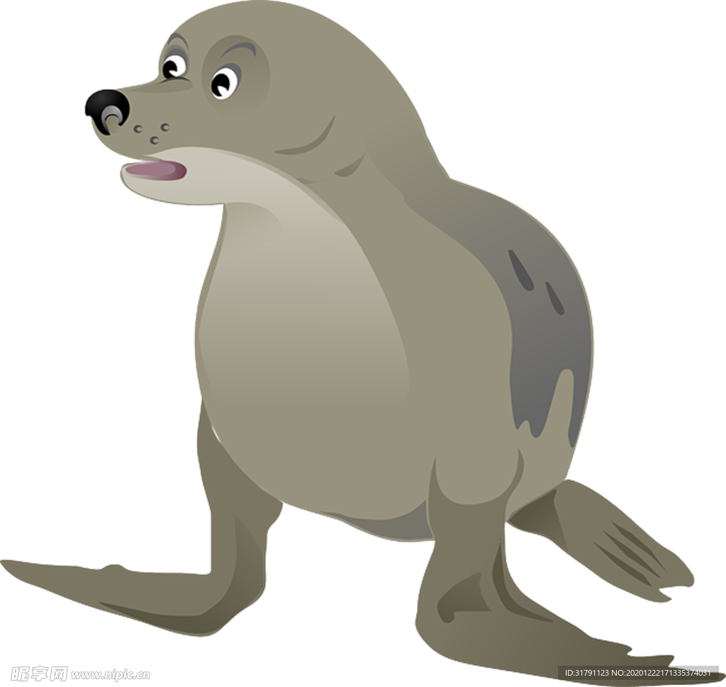 海豹