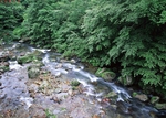 小河流