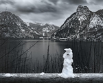 山雪