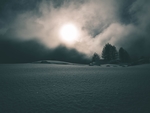 雪地