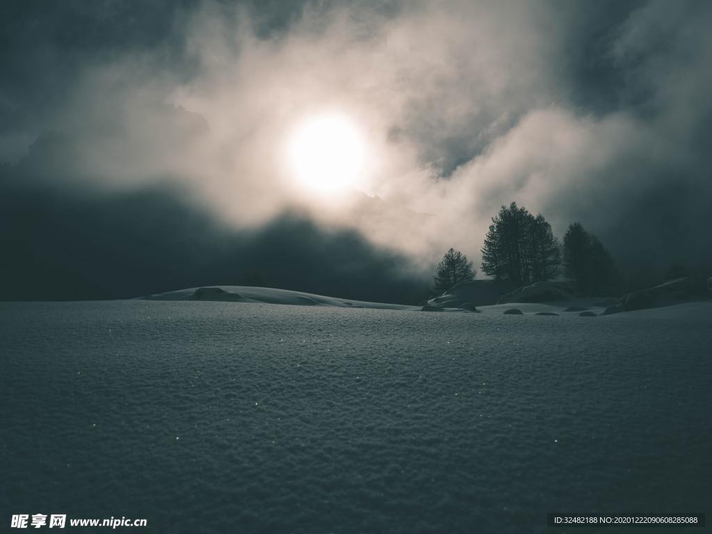 雪地