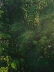 梯田