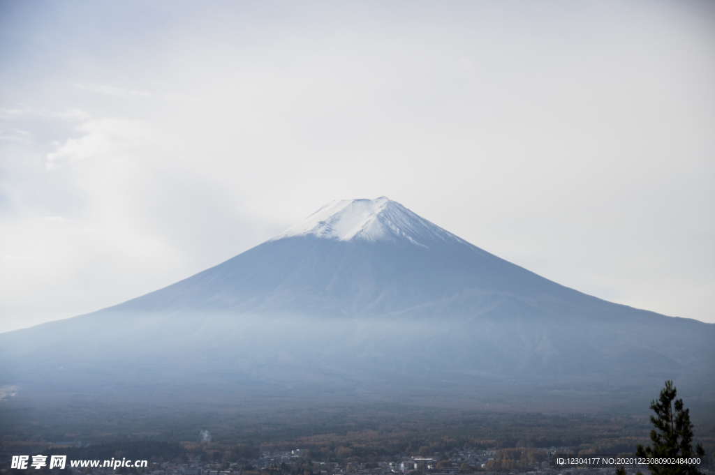 山