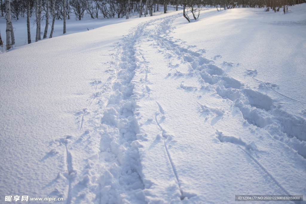 雪地