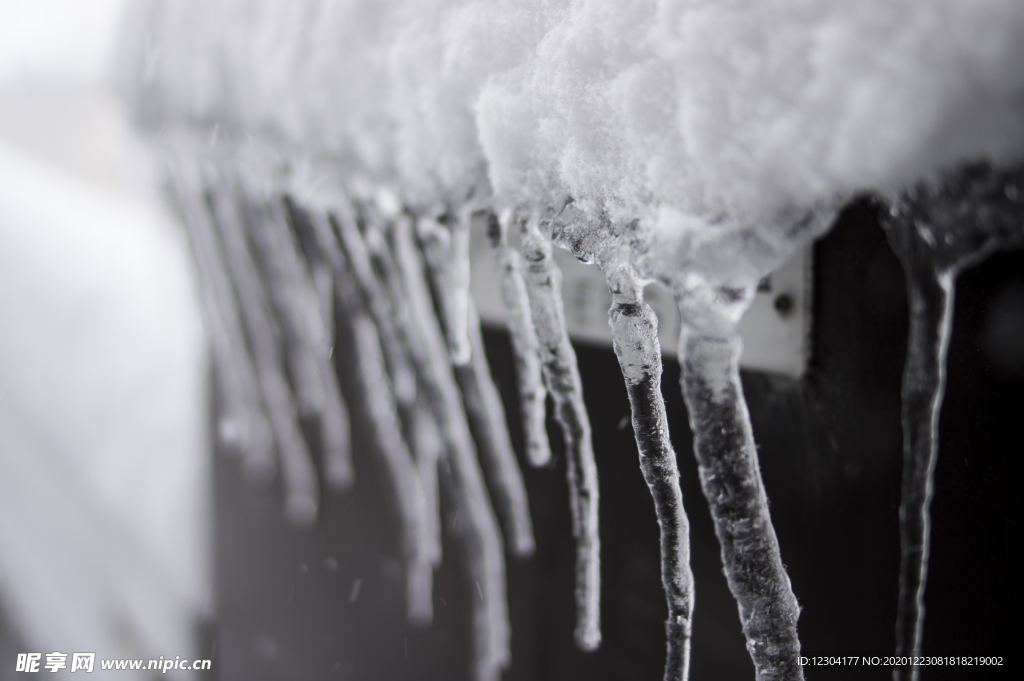 雪地