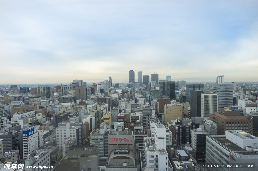 城市