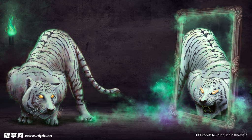 彩色绘画插画白虎背景