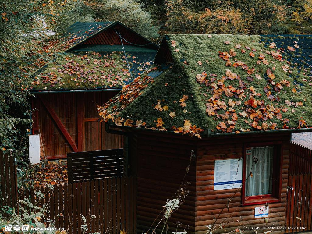小屋