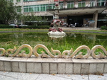 龙