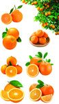 橘子 柑桔 水果 免扣