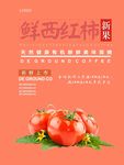 西红柿海报