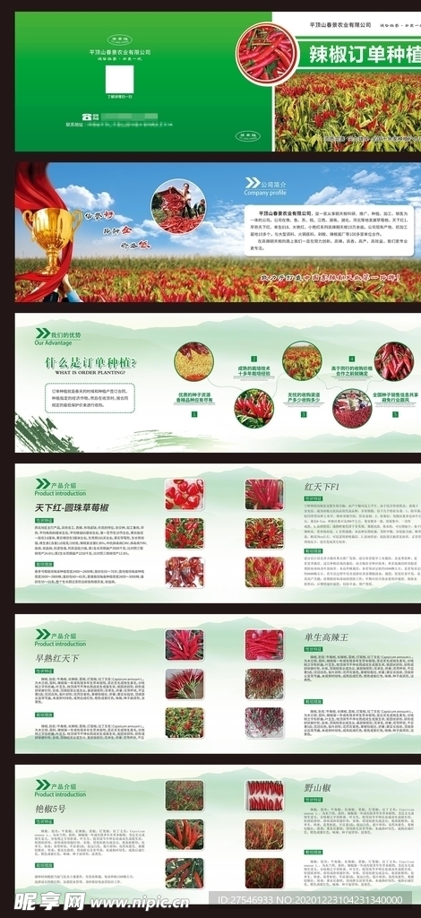 农业绿色辣椒画册种植