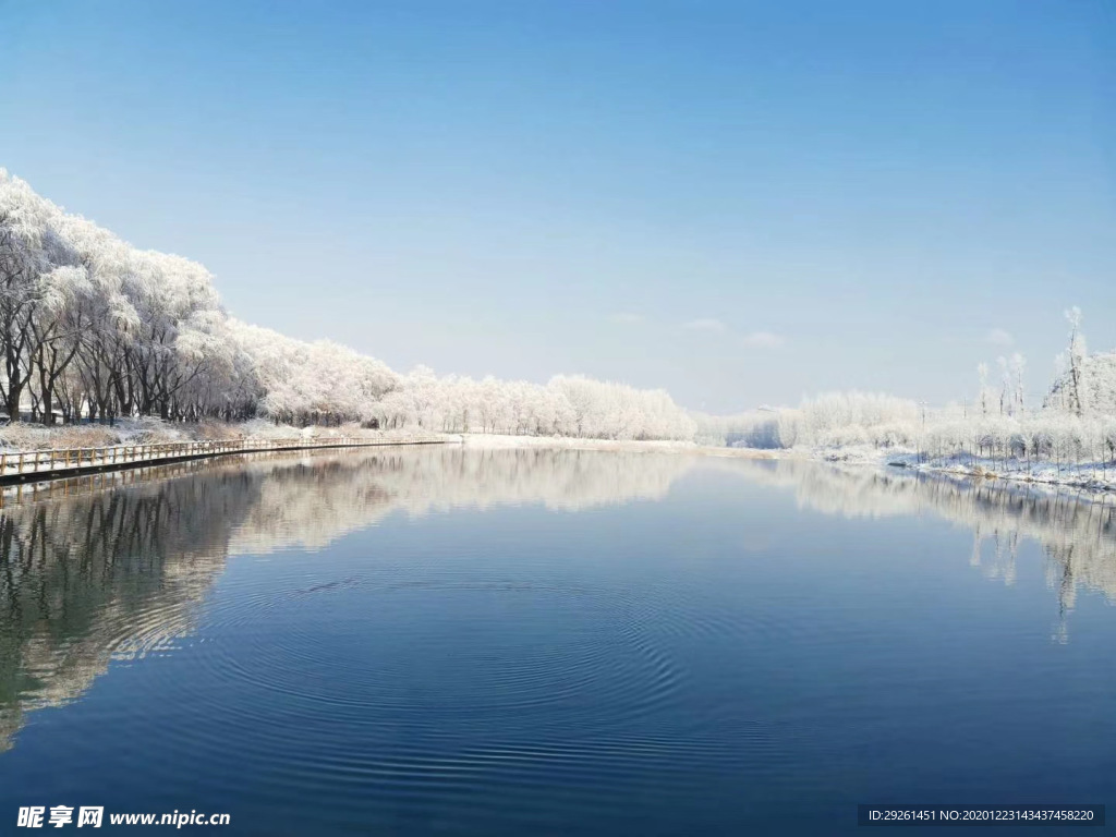 雪后的美景