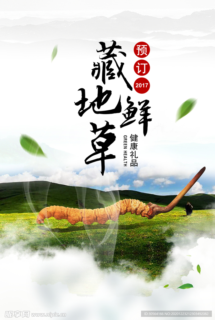冬虫草中药活动宣传海报素材