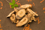苎麻根