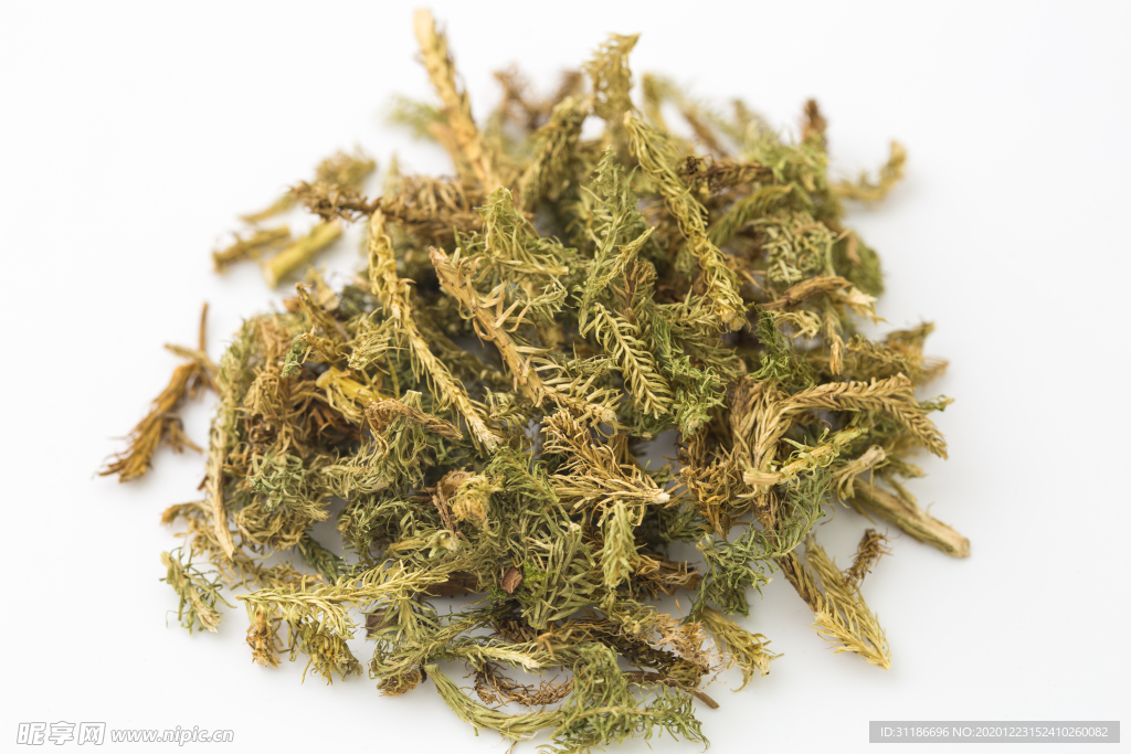 伸筋草