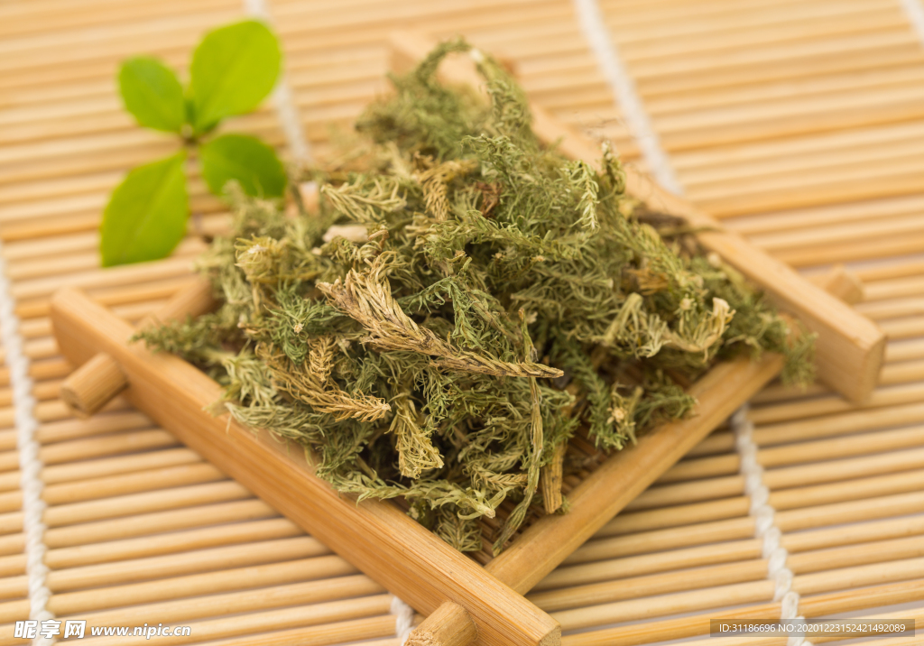 伸筋草