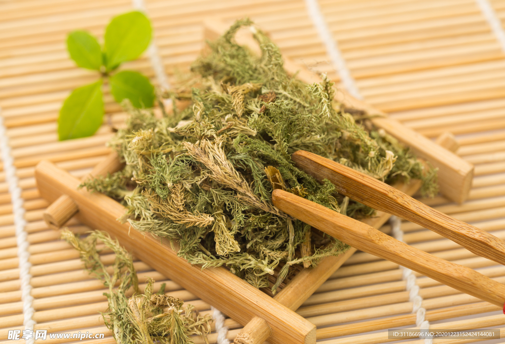 伸筋草