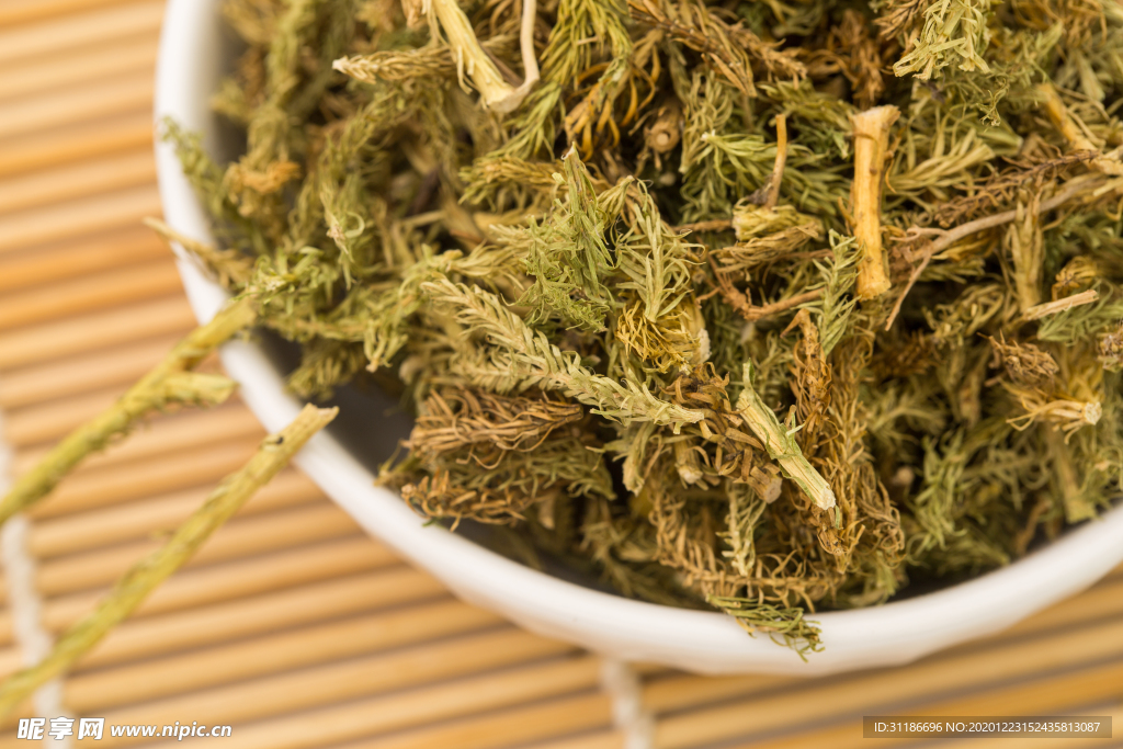 伸筋草