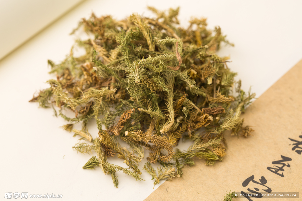 伸筋草