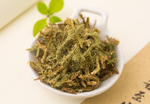 伸筋草