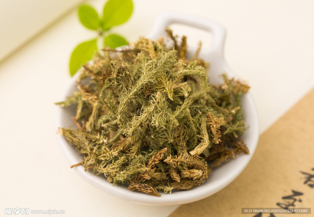 伸筋草