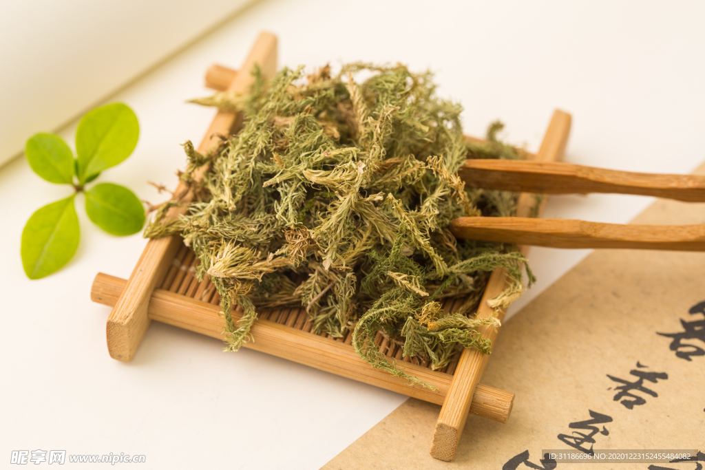 伸筋草