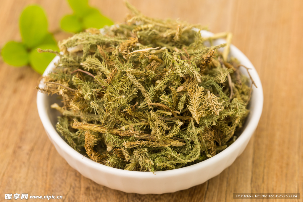 伸筋草