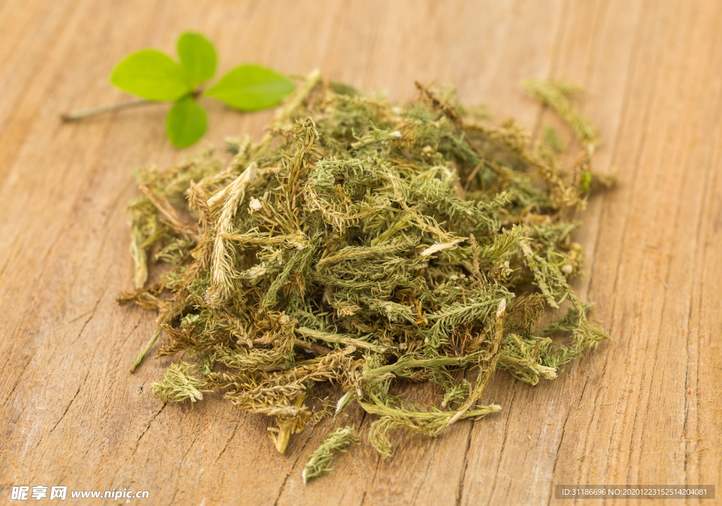 伸筋草