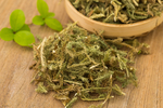 伸筋草