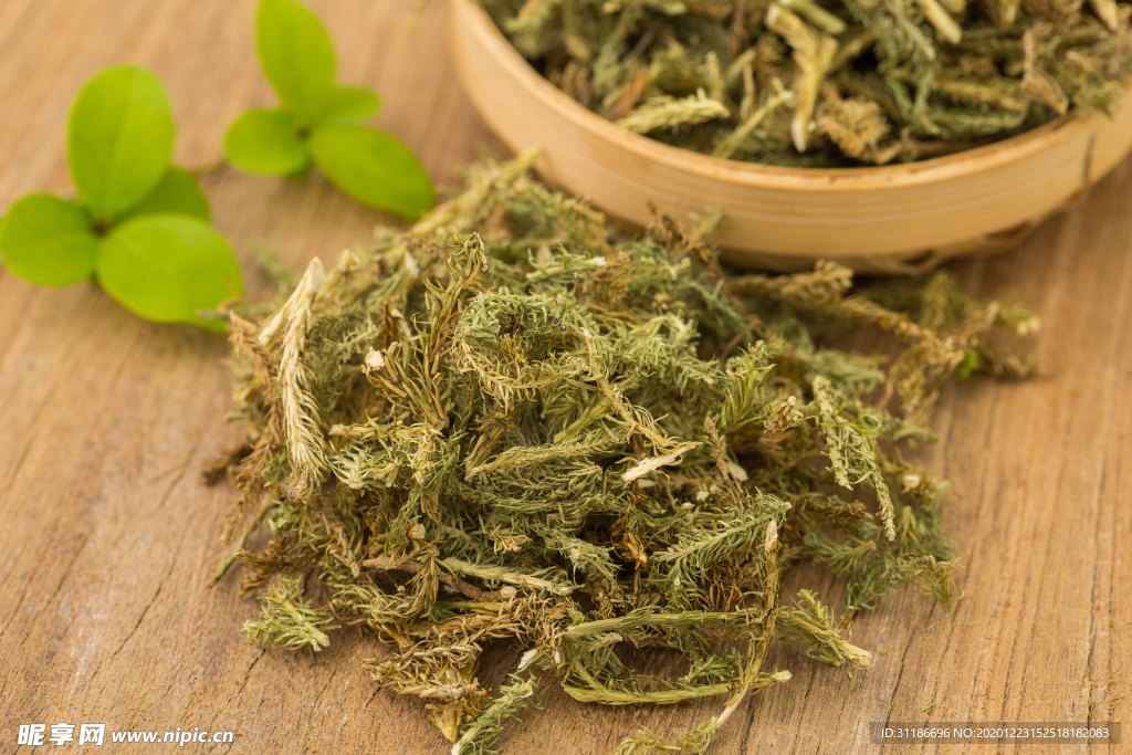 伸筋草