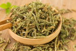 伸筋草