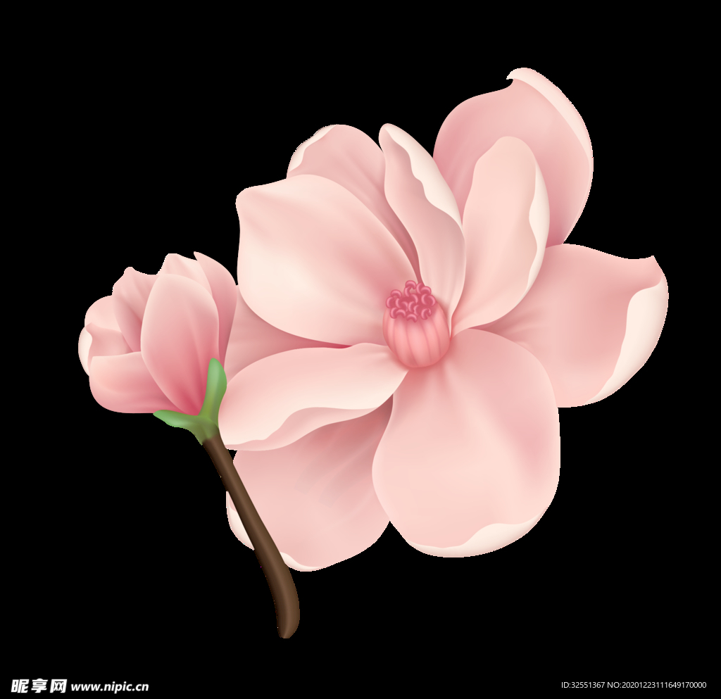 粉色桃花