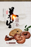 养生滋补海报